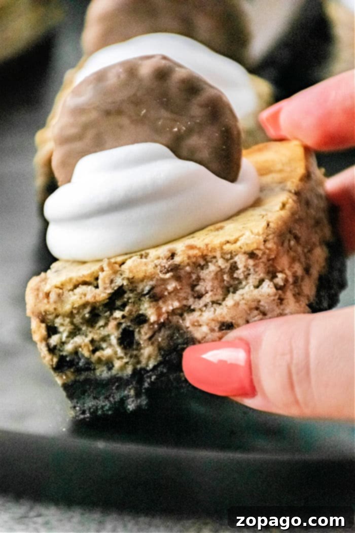 Creamy Cheesecake Delights 6 Assorted cheesecake bars artfully arranged, showcasing different toppings and delightful flavors.