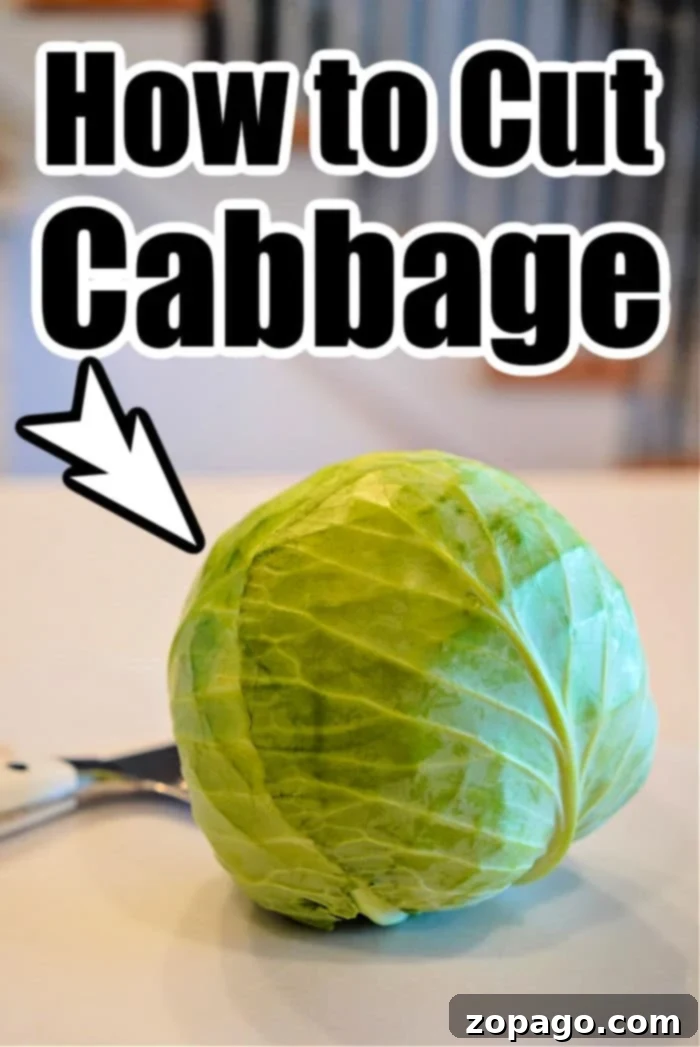 Mastering Hand-Cutting Cabbage 2 how to cut cabbage