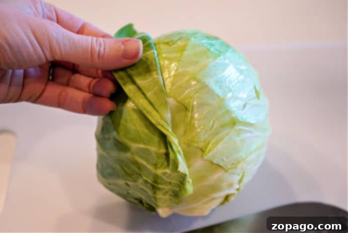 Mastering Hand-Cutting Cabbage 3 how to cut a cabbage