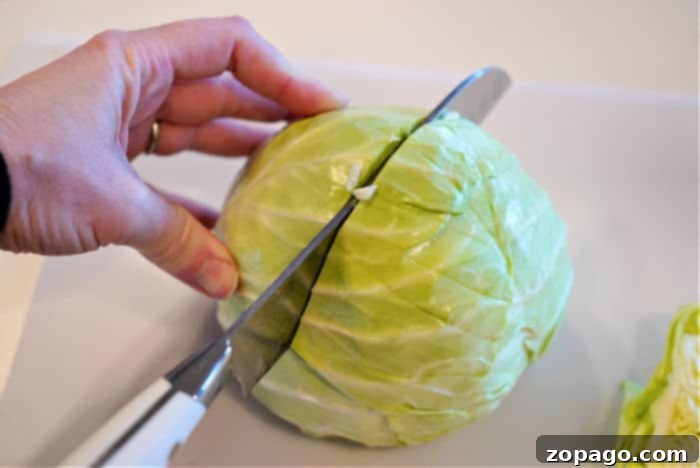 Mastering Hand-Cutting Cabbage 5 cutting cabbage