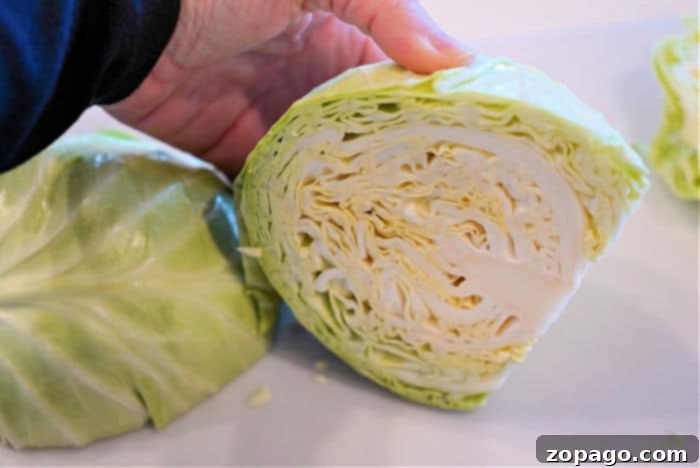 Mastering Hand-Cutting Cabbage 8 how to cut up cabbage