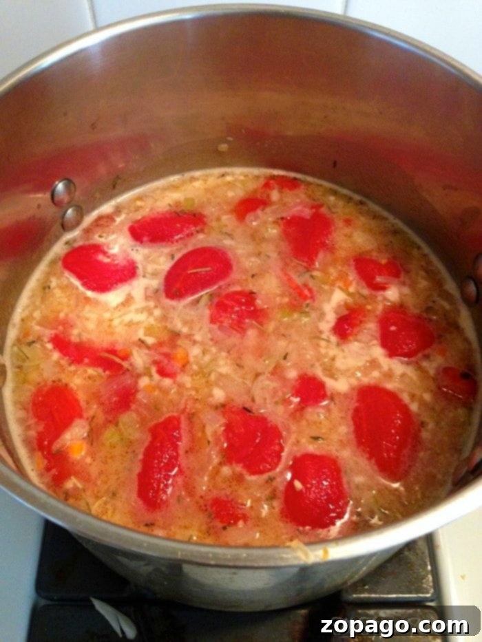 Hearty Tomato Bisque: Simple Stovetop Recipe for Cozy Evenings A pot of easy tomato bisque with chunks of tomatoes and spices simmers gently on the stove, promising a comforting meal for the whole family.