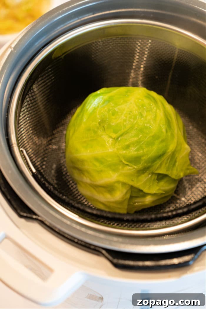 Mastering the Whole Cabbage 4 Whole Cabbage in Instant Pot with Steamer Basket