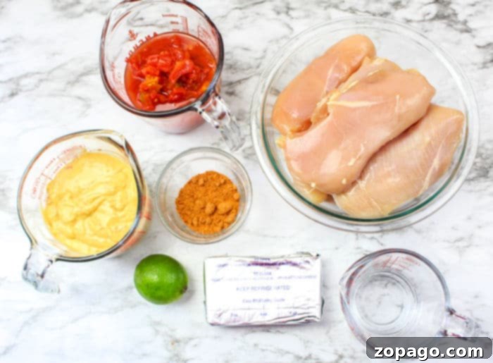 Quick Pressure Cooker Chicken Tacos 3 Queso Chicken ingredients