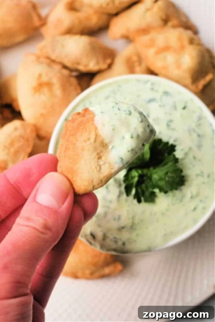 Ultimate Empanada Sauces 2 cilantro lime Empanada Dipping Sauce