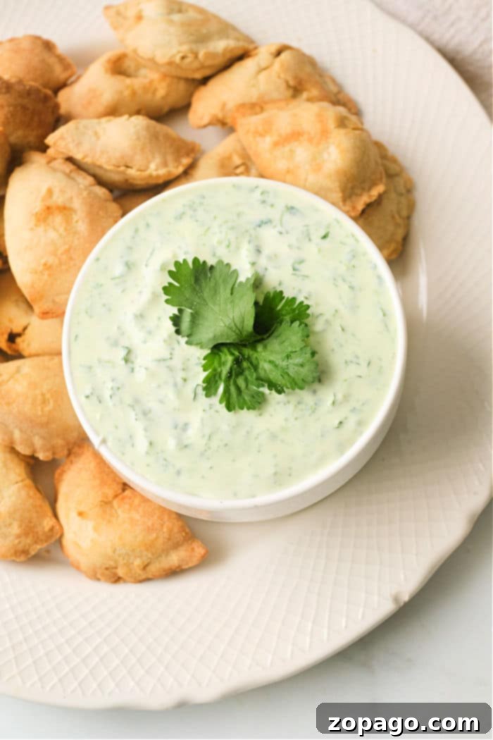 Ultimate Empanada Sauces 5 mexican dip