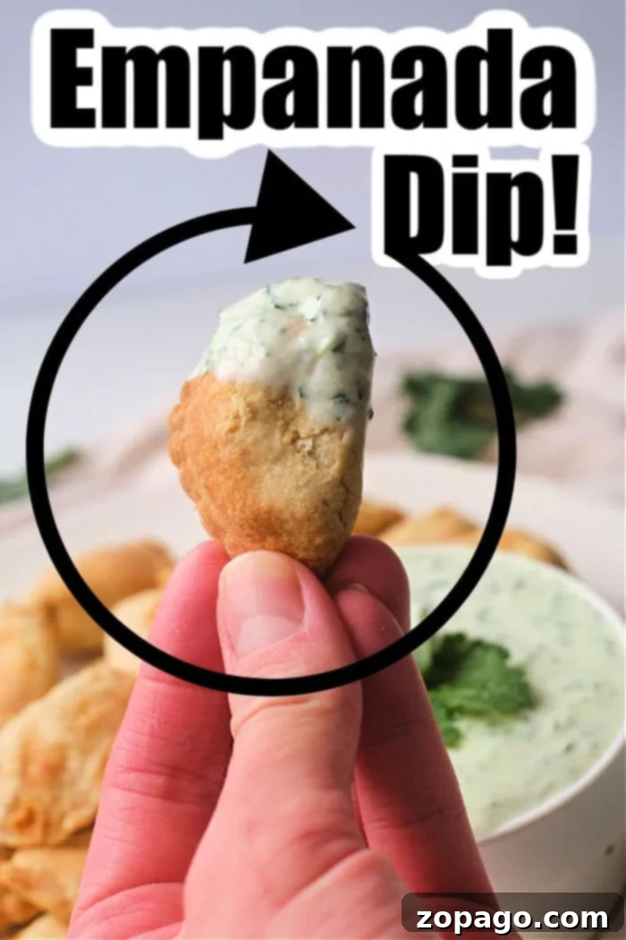 Ultimate Empanada Sauces 6 Empanadas Dip