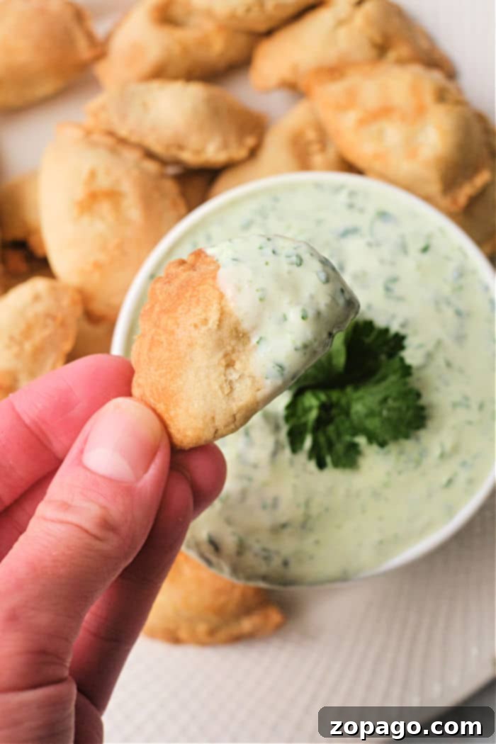Ultimate Empanada Sauces 8 Empanada Dipping Sauce