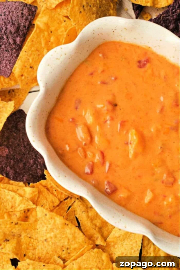 Ultimate Shrimp Rotel Dip 2 Shrimp Rotel Dip with Velveeta