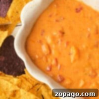A bowl of Shrimp Rotel Dip with cheesy goodness and tomato chunks, surrounded by a colorful array of yellow and blue corn tortilla chips.