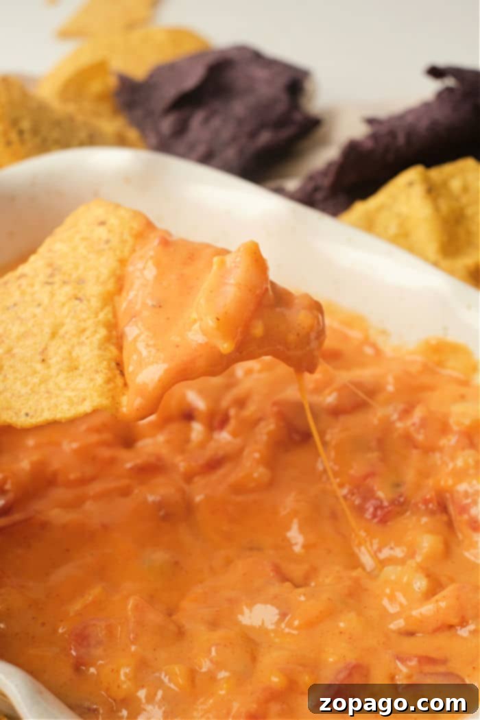 Cheesy Shrimp Rotel Dip 7 A vibrant bowl of rotel dip with shrimp, garnished and ready for serving.