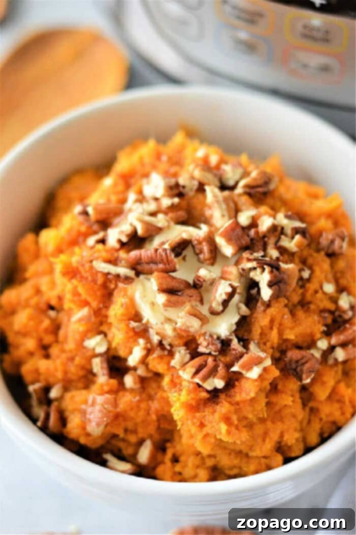 Velvety Instant Pot Sweet Potato Mash 2 Delicious Instant Pot Sweet Mashed Potatoes, a perfect holiday side dish.