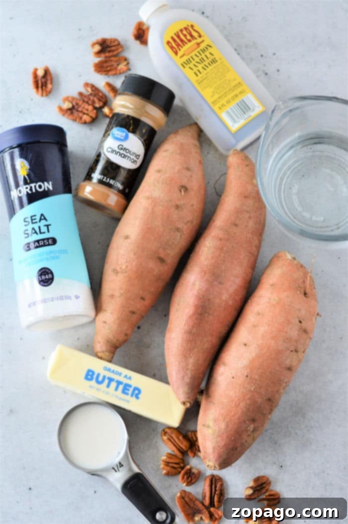Velvety Instant Pot Sweet Potato Mash 4 Creamy Sweet Mashed Potatoes, a delightful and easy-to-make side dish.