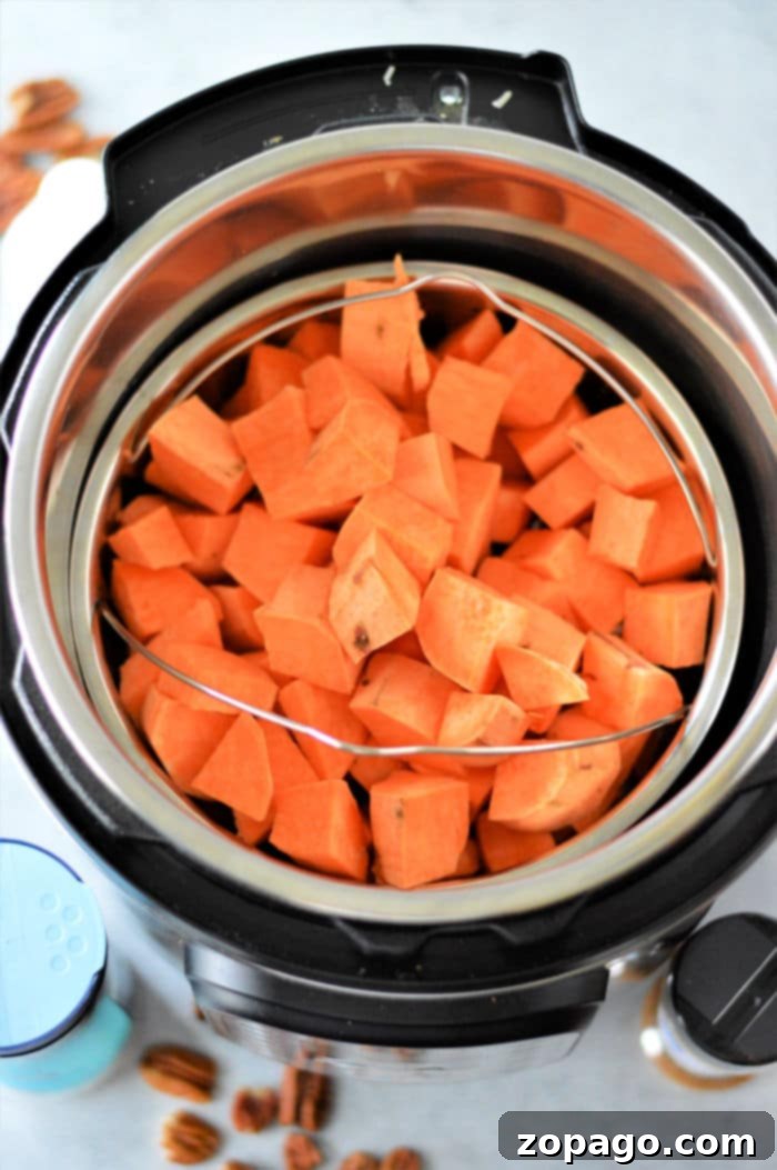 Velvety Instant Pot Sweet Potato Mash 5 Instant Pot cubed Sweet Potatoes, ready to be mashed or served as is.