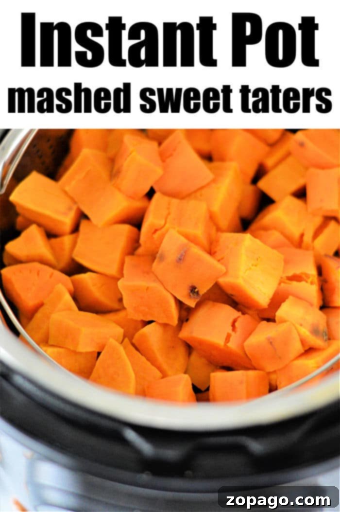 Velvety Instant Pot Sweet Potato Mash 6 Perfectly mashed Instant Pot Sweet Potatoes, smooth and creamy.