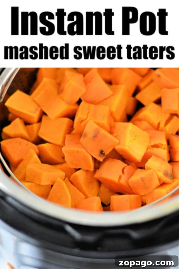Creamy Instant Pot Sweet Potato Mash 6 Beautifully mashed Instant Pot sweet potatoes, ready for a garnish.