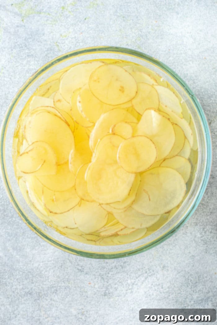 Russet Gold Crisps 3 Homemade air fryer russet potato chips, perfectly seasoned.