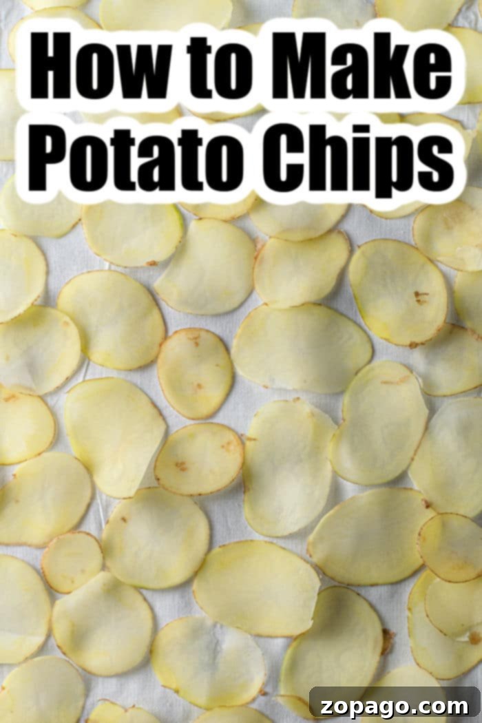 Rustic Russet Crisps 4 Delicious Dark Russet Potato Chips