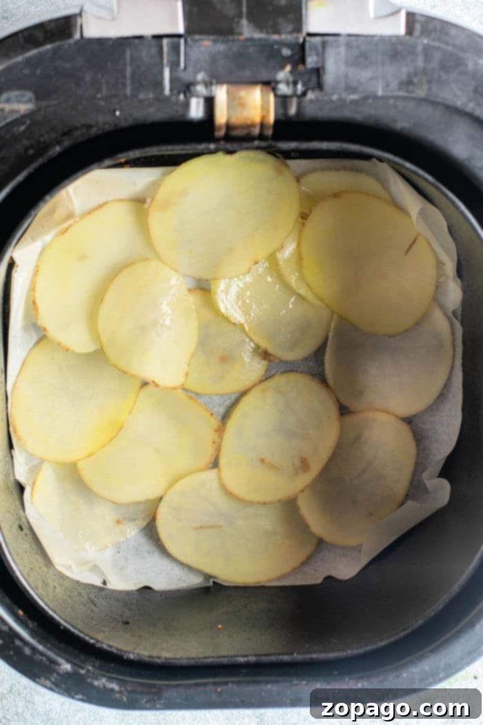 Rustic Russet Crisps 5 Air Fryer Potato Chips in a Basket