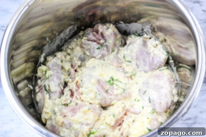 Creamy Instant Pot Tahini Chicken 6 Instant Pot Tahini Chicken