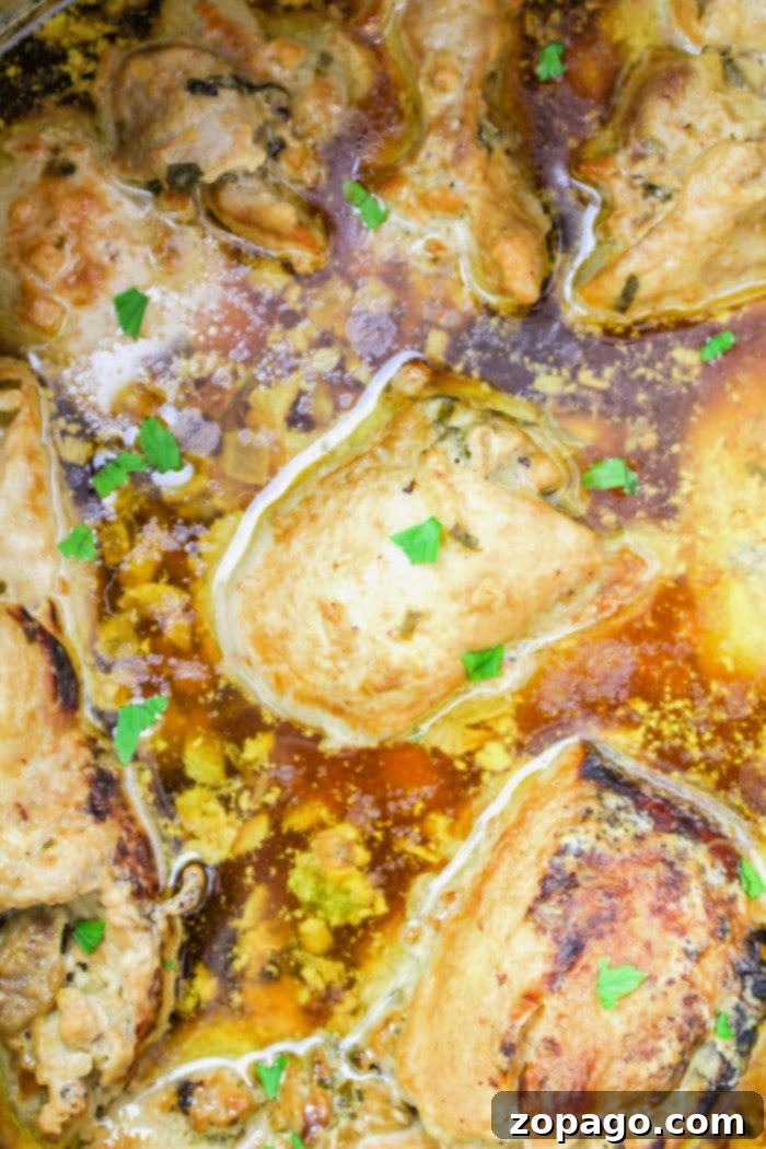 Creamy Instant Pot Tahini Chicken 7 Tahini Chicken recipe