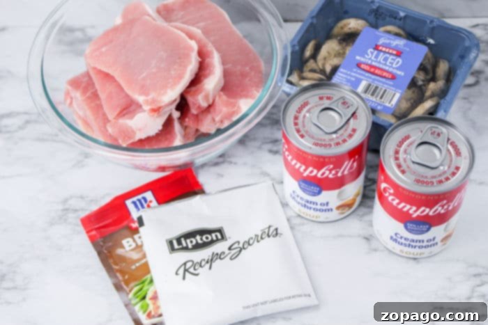 Succulent Slow Cooker Pork Chops with Velvety Gravy 3 Crockpot pork chops recipe with savory gravy