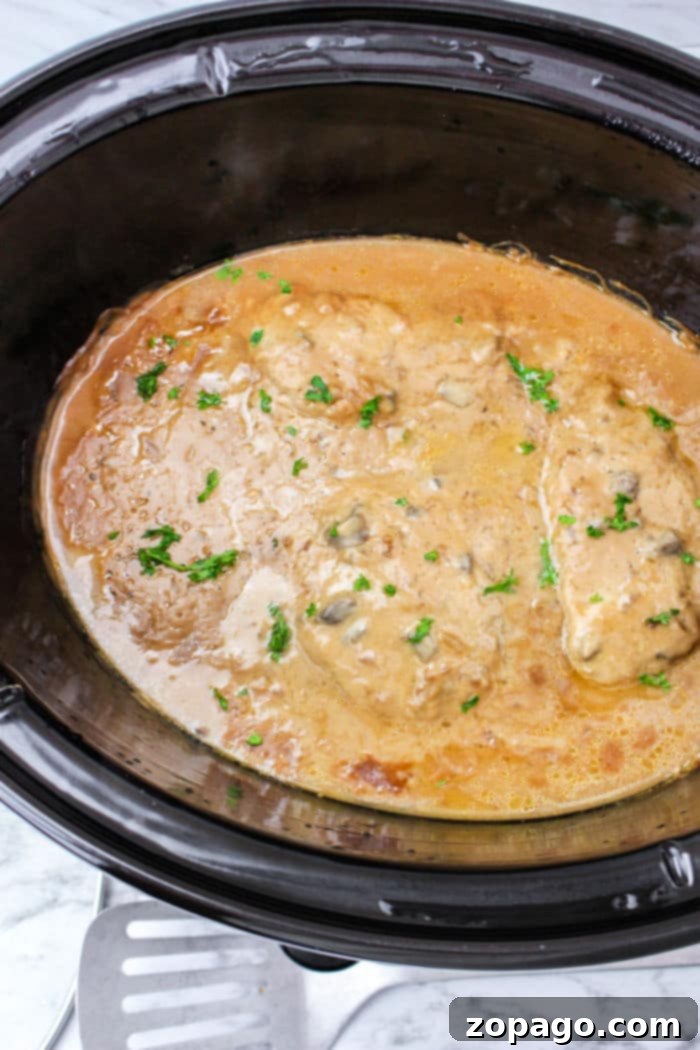 Succulent Slow Cooker Pork Chops with Velvety Gravy 5 Close-up of slow cooker pork chops and gravy ready to serve
