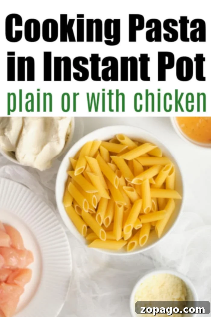 Easy Instant Pot Frozen Chicken Noodles 3 pasta-in-instant-pot