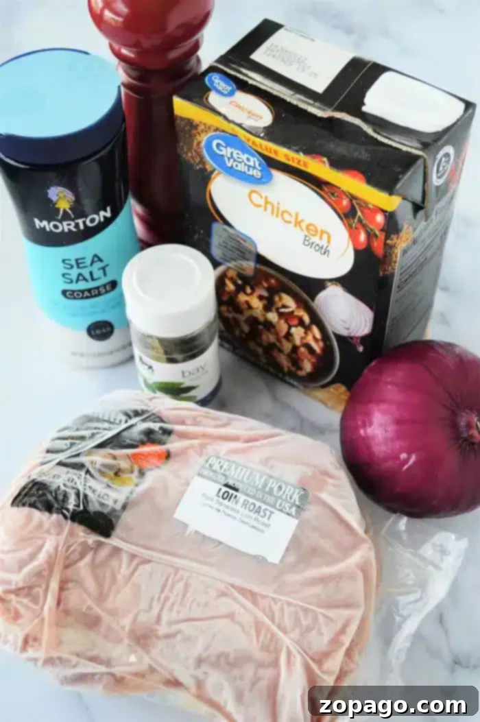 Delicious Ninja Foodi Pork Creations 5 A selection of ingredients for Ninja Foodi pork recipes is displayed, featuring a package of pork loin roast, a container of coarse sea salt, a jar labeled "bay," a carton of chicken broth, a red onion, and a pepper grinder, all ready for cooking.