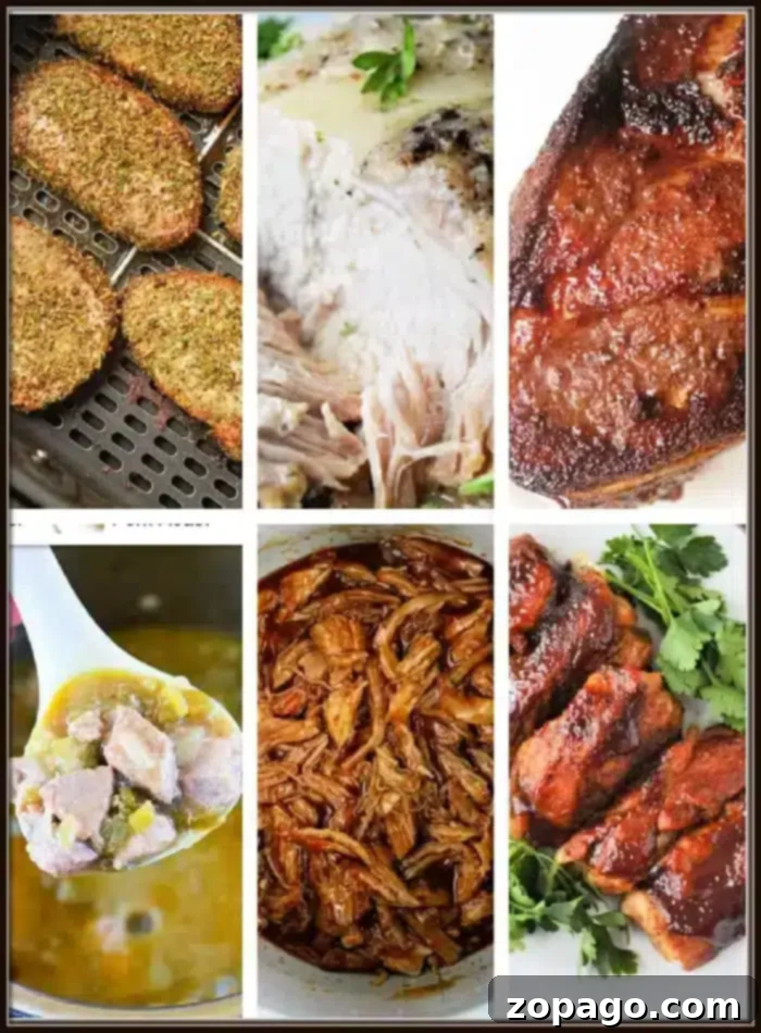 Delicious Ninja Foodi Pork Creations 7 A collage of six mouth-watering Ninja Foodi pork recipes: seasoned bread slices, sliced white meat with sauce, glazed meat with crispy skin, a savory meat stew in a bowl, shredded pork in sauce, and sliced meat garnished with fresh herbs.