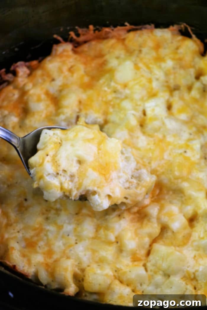 Reimagine Leftover Ham Crockpot Dinners 7 Cheesy Hashbrown Potatoes in a Crockpot