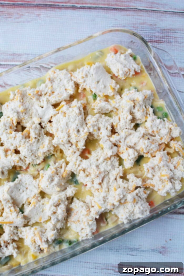 Chicken Pot Pie Topped with Cheddar Bay Biscuits 5 Unbaked Chicken Pot Pie Casserole with Biscuit Topping
