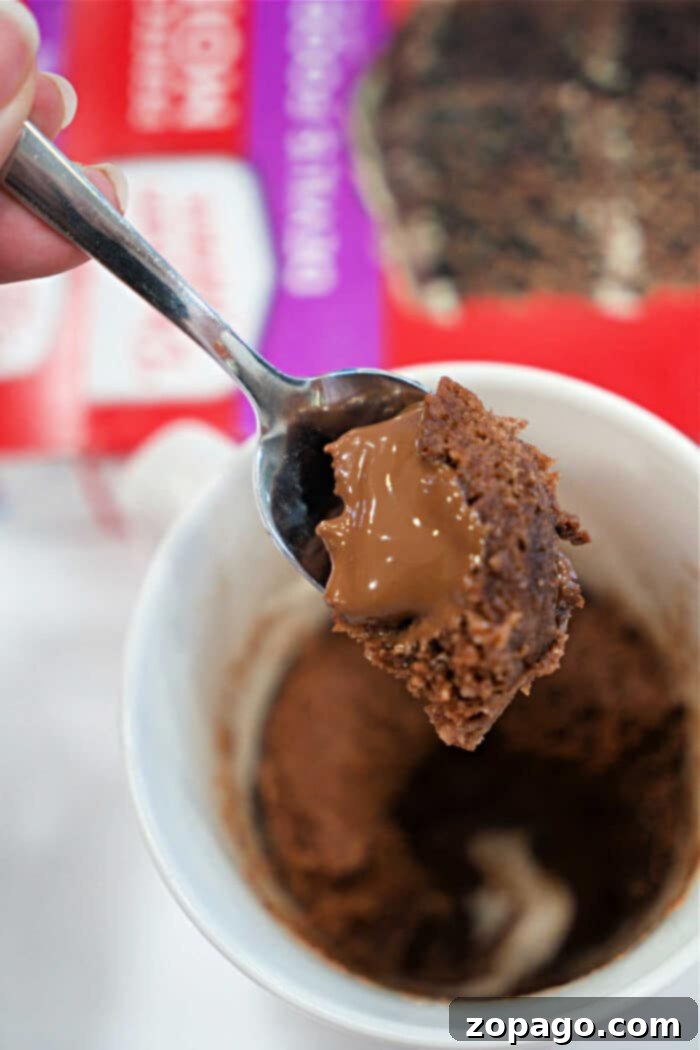 Mug Lava Cake Magic 5 Chocolate cake with a molten center above a white cup and cake mix box—perfect for your next Lava Cake Recipe or quick Mug Cake craving.