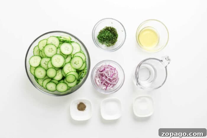 Cucumber and Dill Salad with Creamy Yogurt Dressing 3 Sliced cucumber, red onion, fresh dill, vinegar, water, salt, pepper, and sugar in bowls on a white background—perfect ingredients for a refreshing cucumber salad.